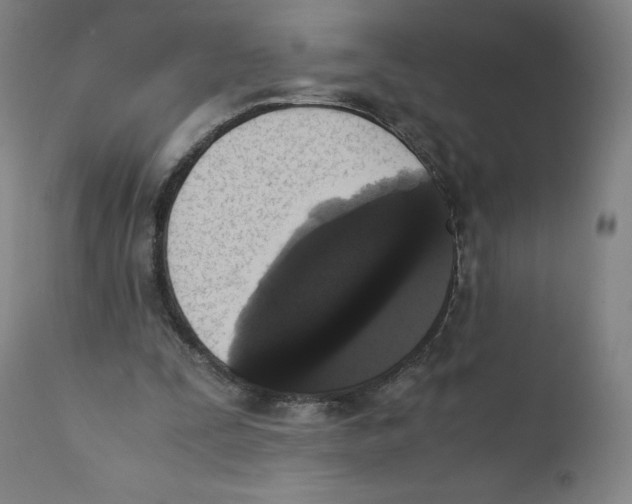 X0000110710295200907101251