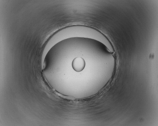 X0000110710297200907101251