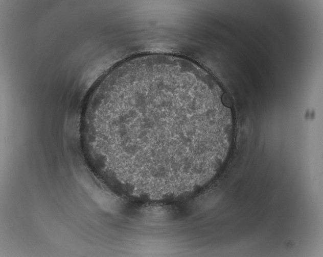 X0000110710299200907101251