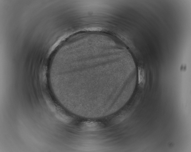 X0000110710300200907101251