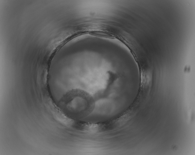 X0000110710301200907101251