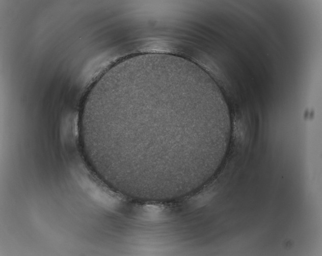 X0000110710302200907101251
