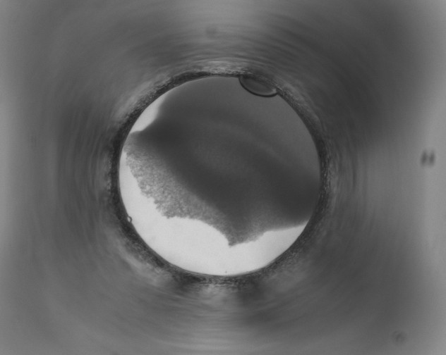 X0000110710303200907101251