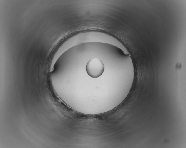 X0000110710304200907101251