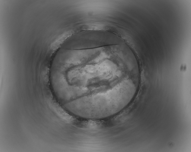 X0000110710305200907101251