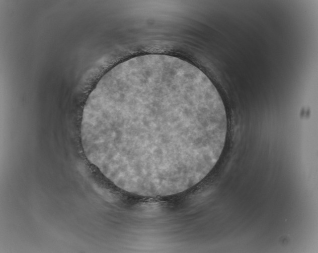 X0000110710307200907101251