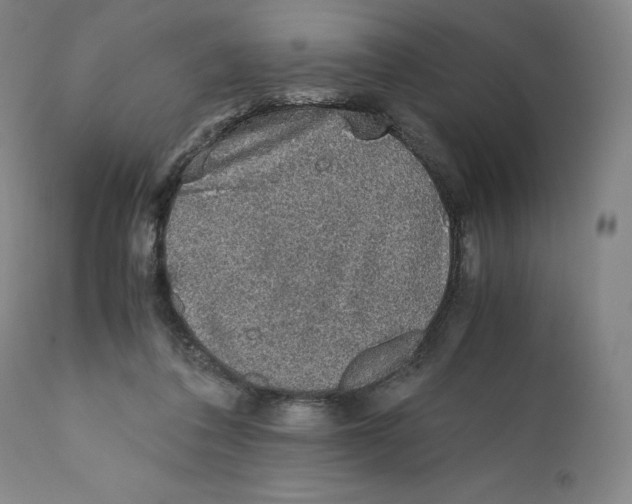 X0000110710308200907101251