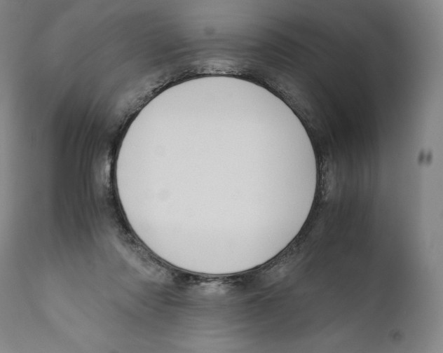 X0000110710310200907101251