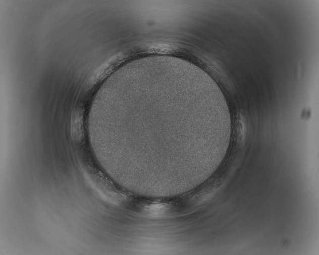 X0000110710312200907101251