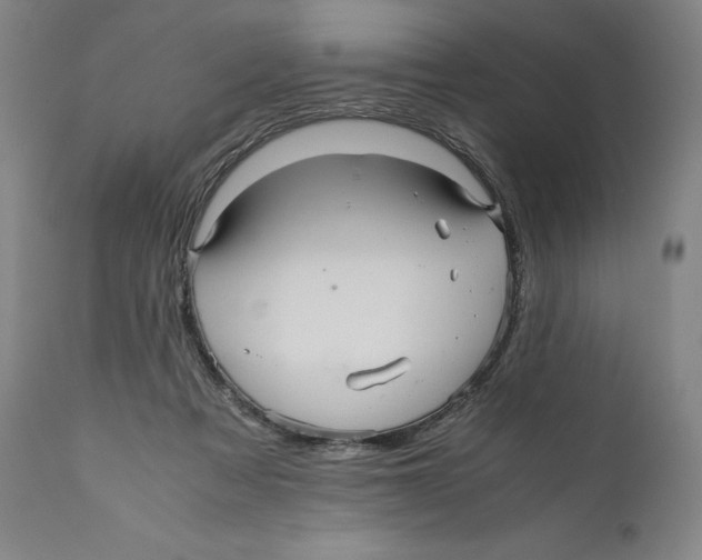 X0000110710313200907101251