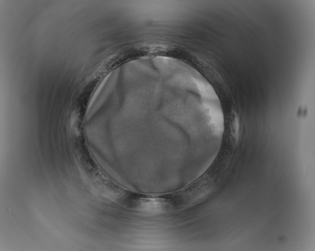 X0000110710316200907101251
