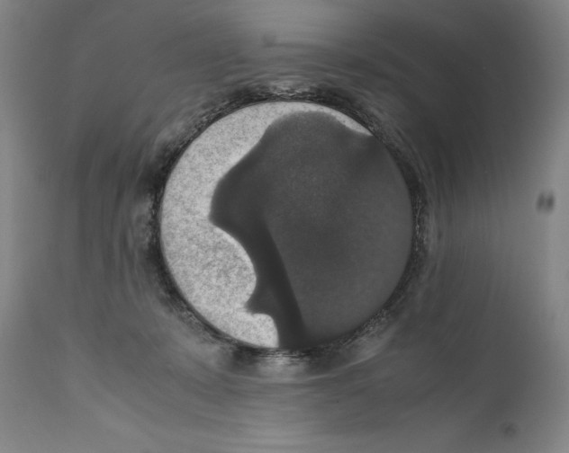 X0000110710319200907101251