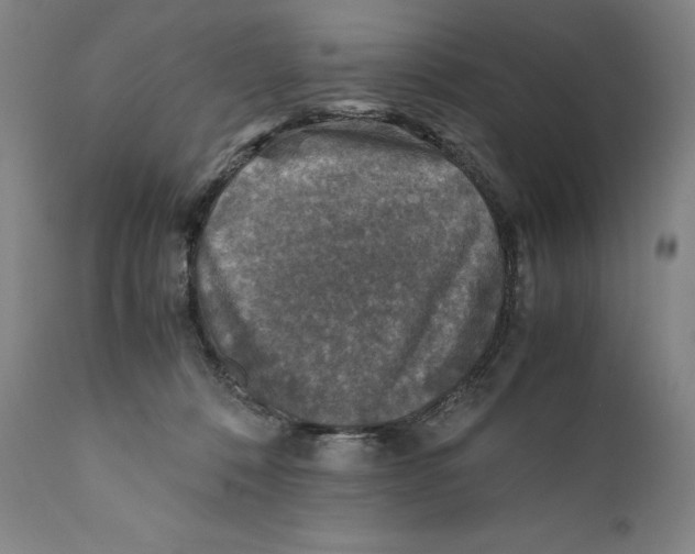 X0000110710320200907101251