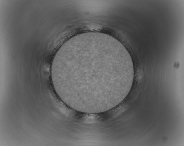 X0000110710321200907101250