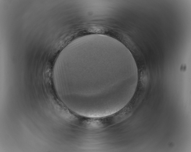 X0000110710322200907101250