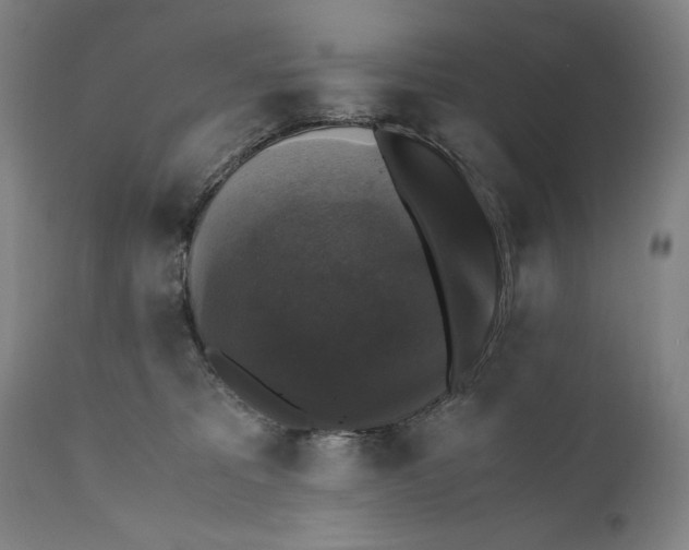 X0000110710325200907101250