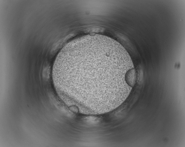 X0000110710326200907101250