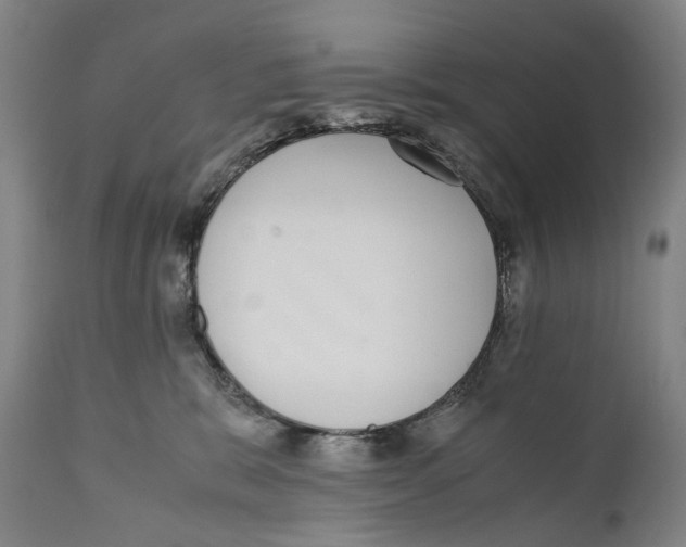 X0000110710327200907101250
