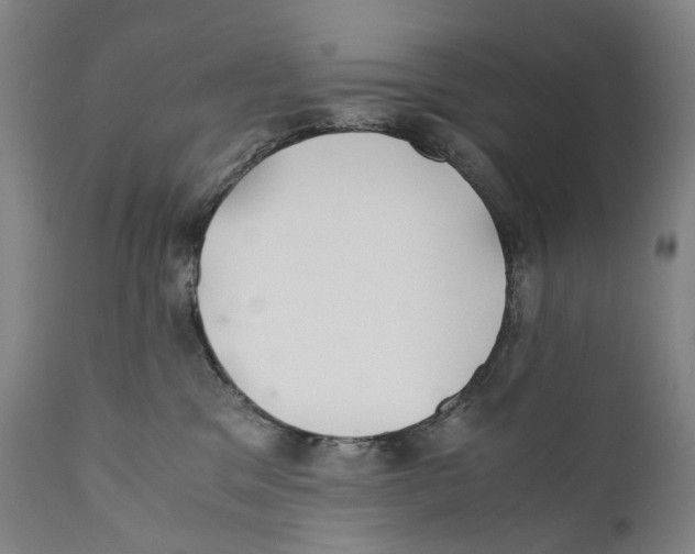 X0000110710329200907101250