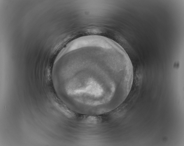 X0000110710330200907101250