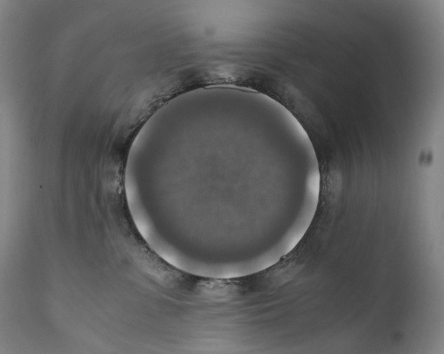 X0000110710331200907101250
