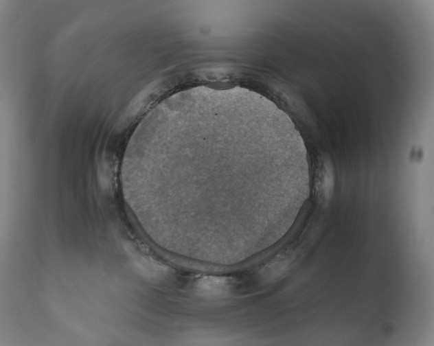 X0000110710332200907101250