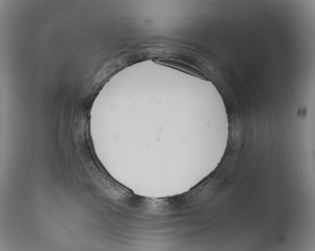 X0000110710333200907101250