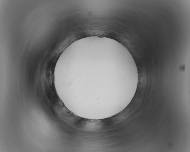 X0000110710334200907101250