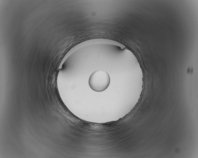 X0000110710336200907101250