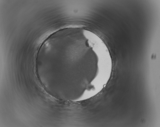 X0000110710337200907101249