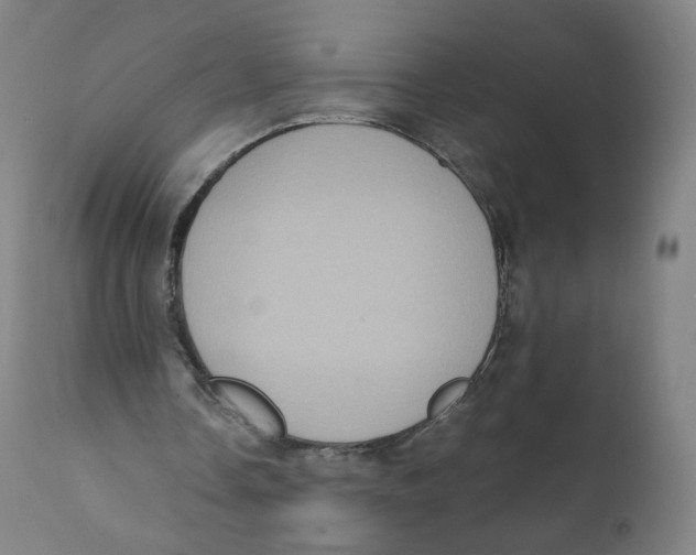 X0000110710338200907101249