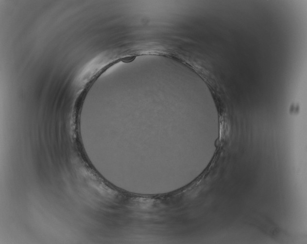 X0000110710339200907101249