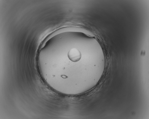 X0000110710340200907101249