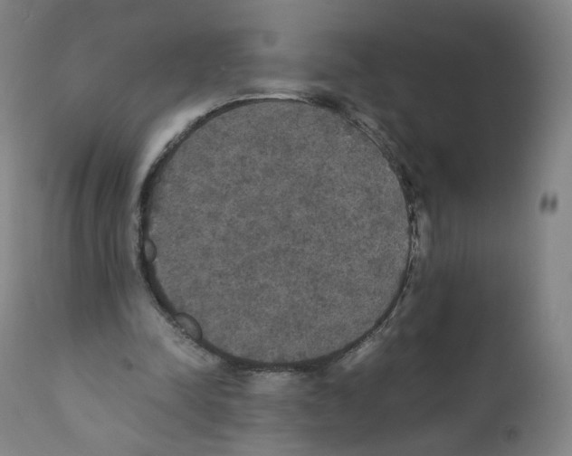 X0000110710342200907101249
