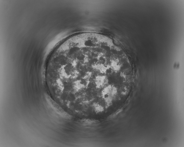 X0000110710343200907101249