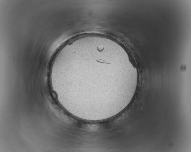 X0000110710344200907101249