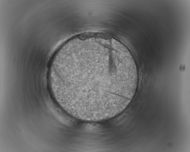 X0000110710346200907101249