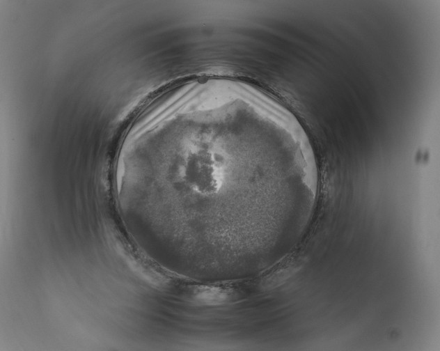 X0000110710347200907101249