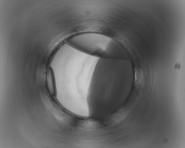 X0000110710348200907101249