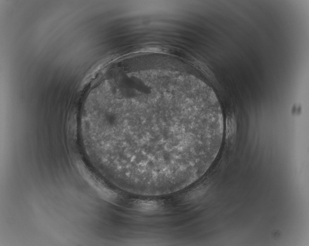 X0000110710349200907101249