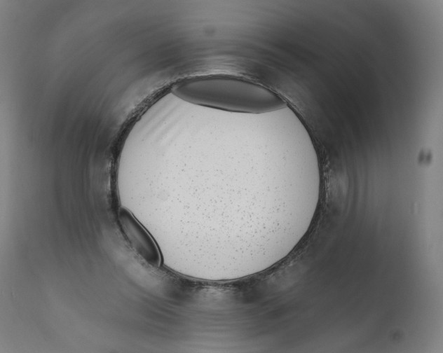 X0000110710350200907101249