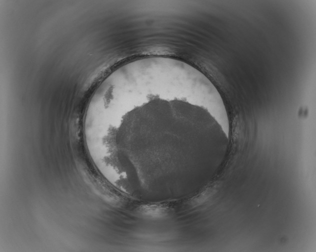 X0000110710351200907101249