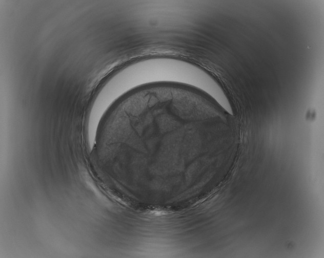 X0000110710352200907101249