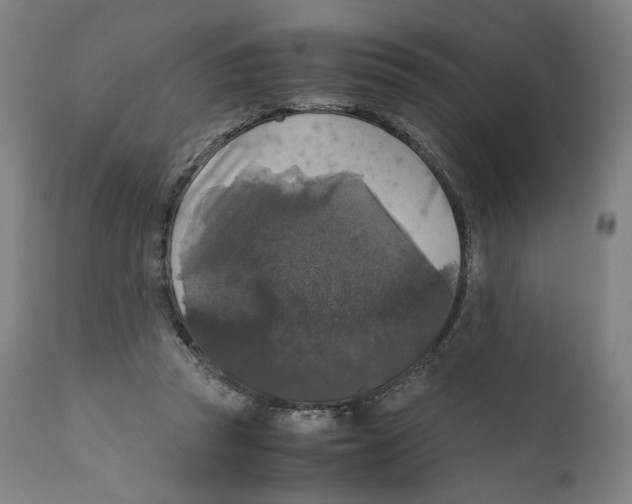 X0000110710353200907101250