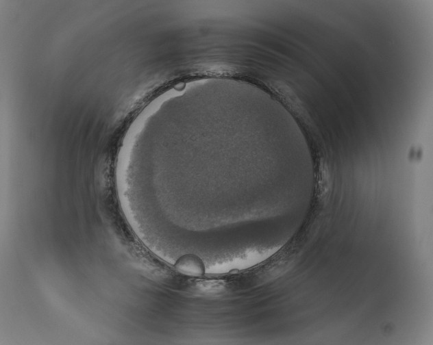 X0000110710355200907101250