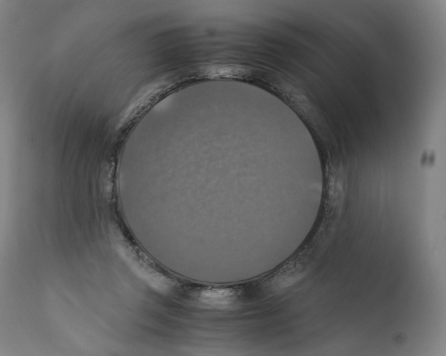 X0000110710357200907101250