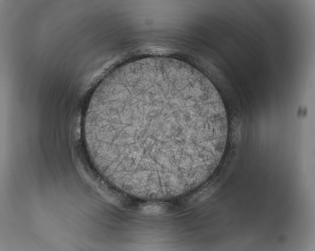 X0000110710358200907101250