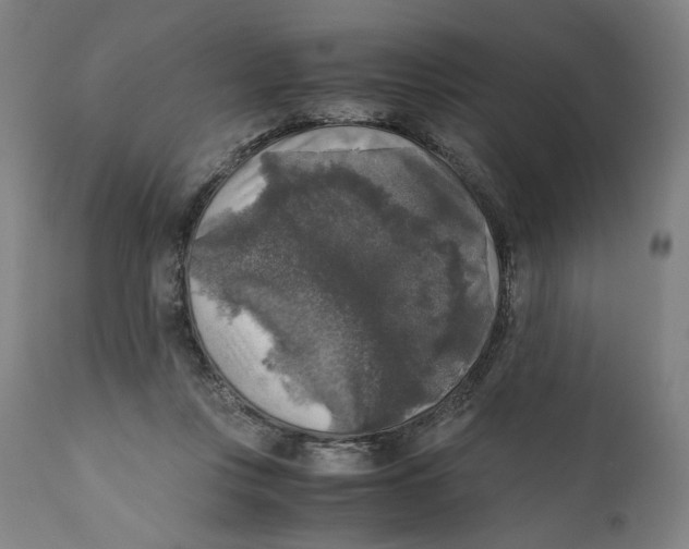 X0000110710359200907101250
