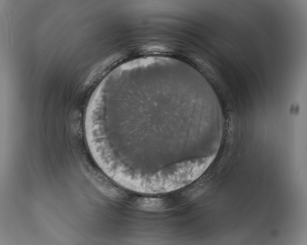 X0000110710361200907101250