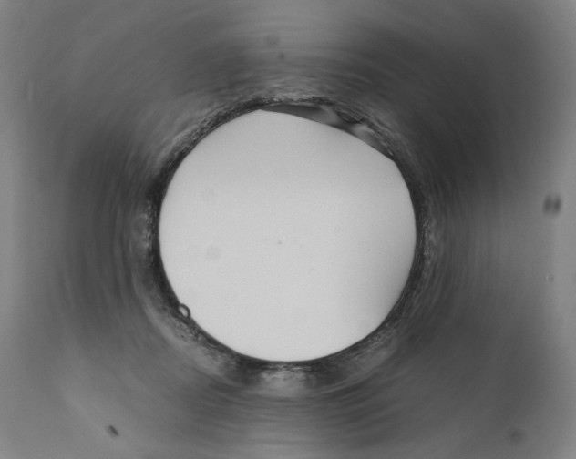 X0000110710362200907101250